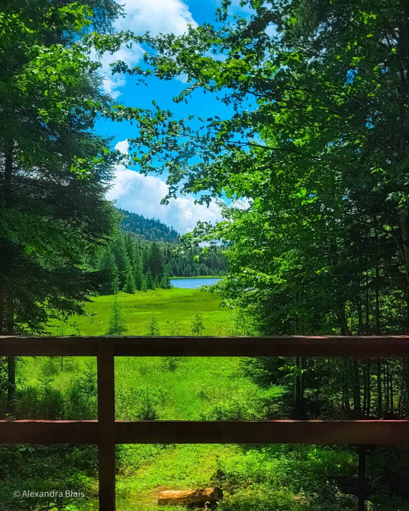 view of the lake from a refuge
