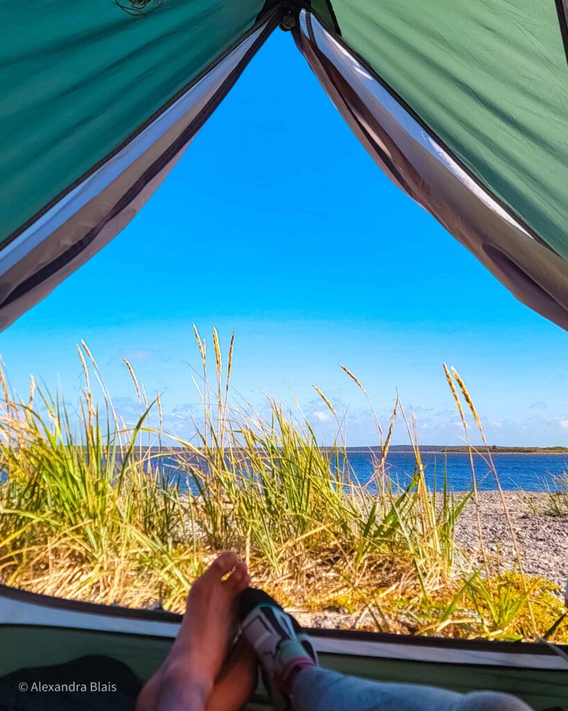 author with the view from the tent