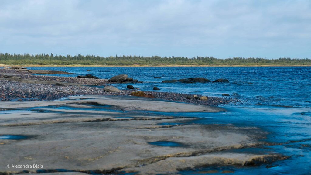 view from the james bay