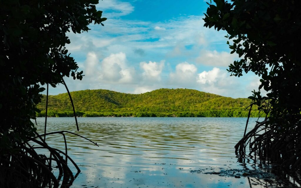 Vieques day trip - tapon hiking trail
