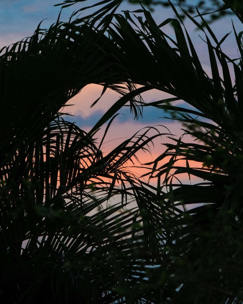 Vieques day trip - sunset from sea gate hotel