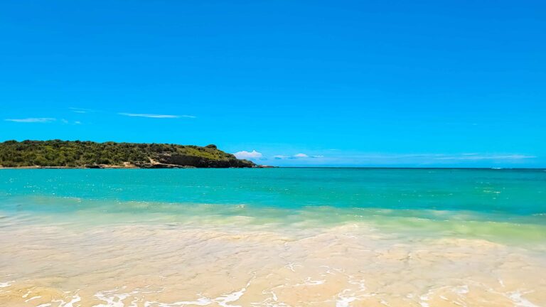 best beaches in vieques puerto rico : my favorite one