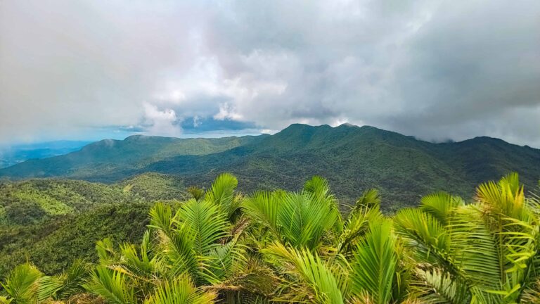 El Yunque National Forest