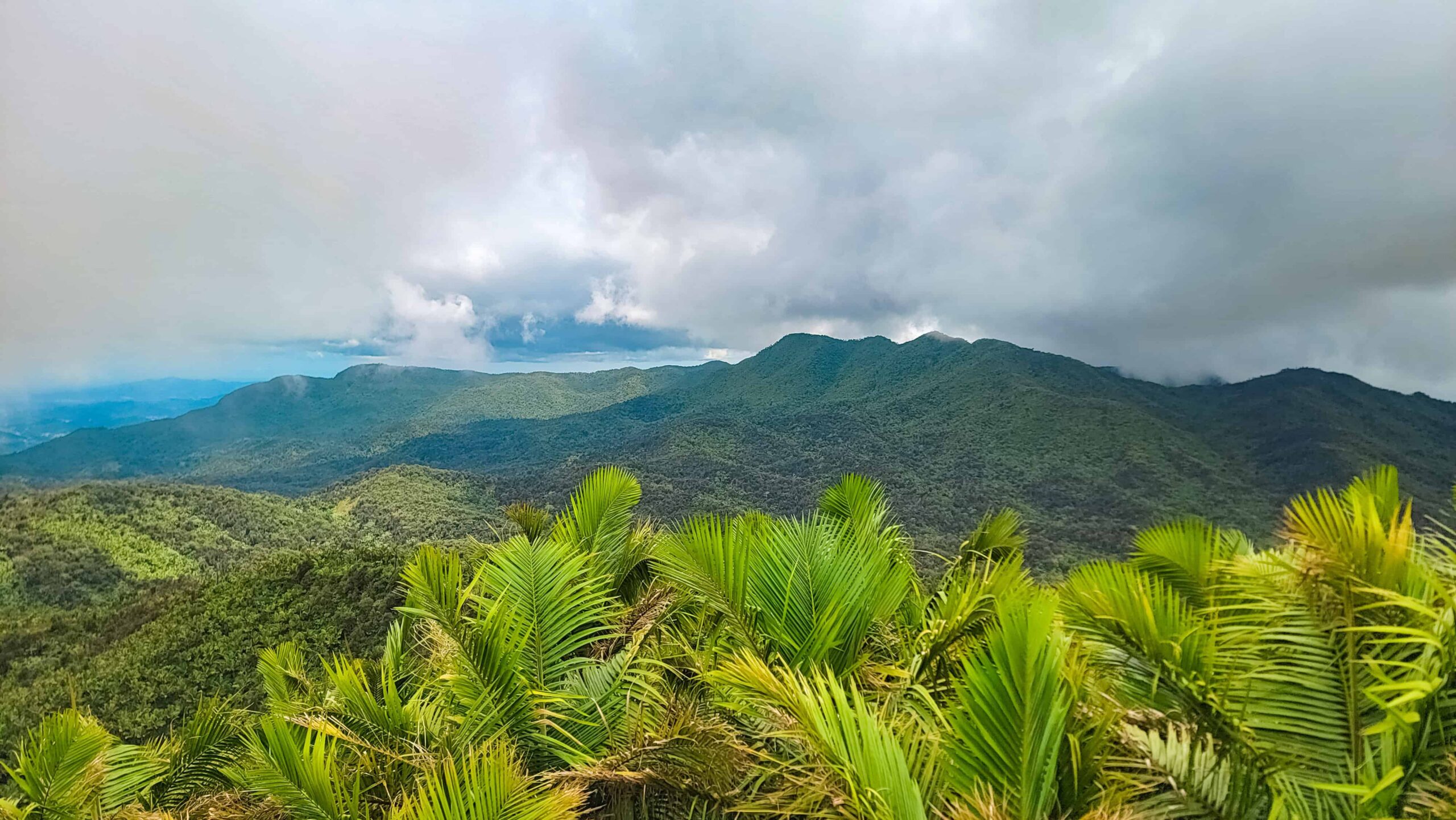 El Yunque National Forest