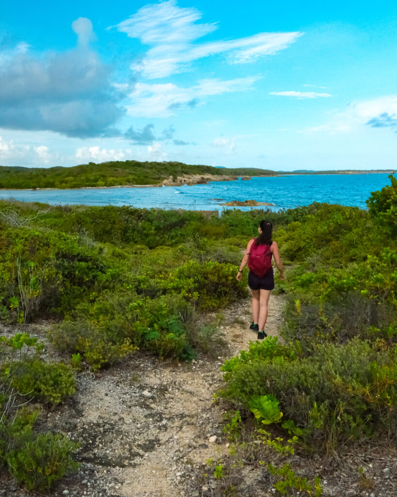 Hiking in Puerto Rico - 1 day in San Juan Puerto Rico