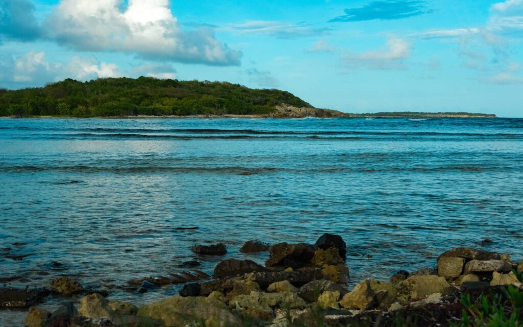 Vieques hiking - tapon trail view