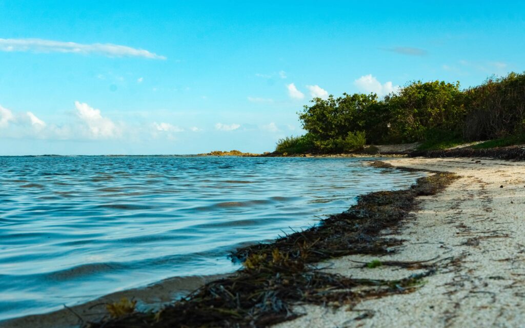 Vieques hiking - tapon trail beach