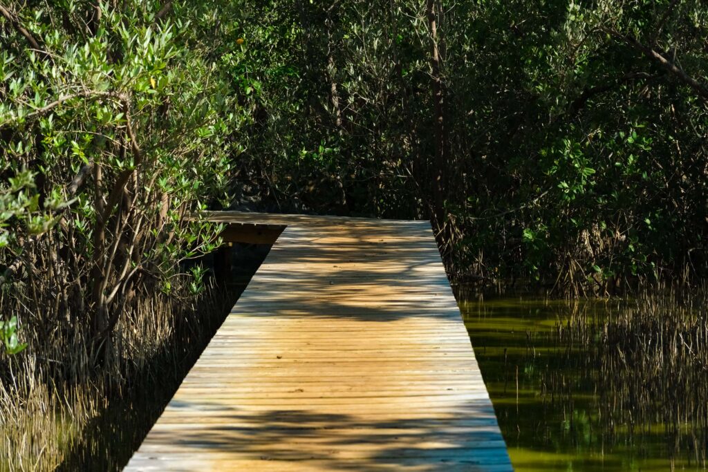 4 day Puerto Rico itinerary - Reserva natural Punta Guaniquilla trail